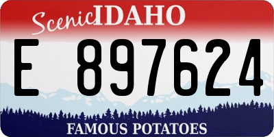 ID license plate E897624