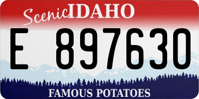 ID license plate E897630