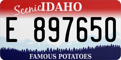 ID license plate E897650