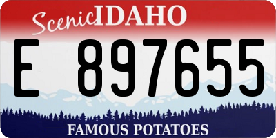 ID license plate E897655
