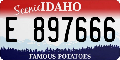 ID license plate E897666
