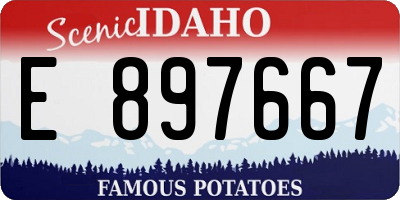ID license plate E897667
