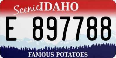 ID license plate E897788