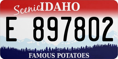 ID license plate E897802