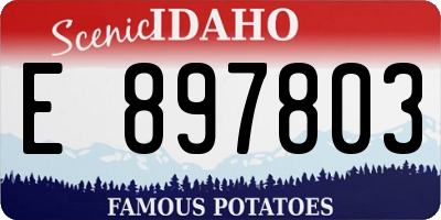 ID license plate E897803