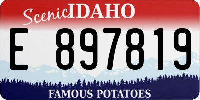ID license plate E897819