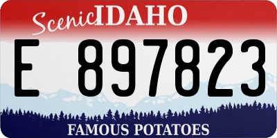 ID license plate E897823
