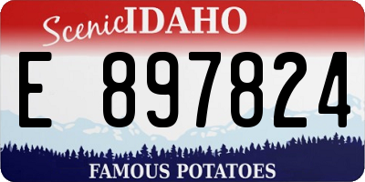 ID license plate E897824