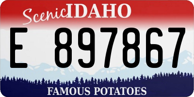 ID license plate E897867