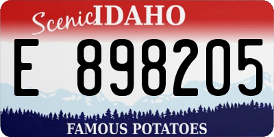 ID license plate E898205