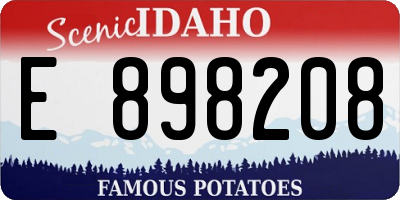 ID license plate E898208