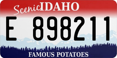 ID license plate E898211