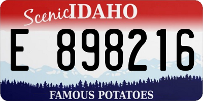 ID license plate E898216