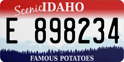 ID license plate E898234