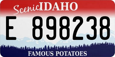 ID license plate E898238