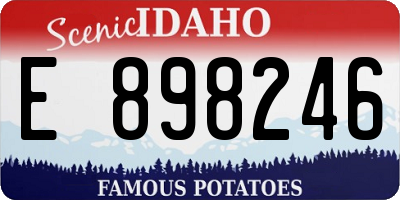 ID license plate E898246