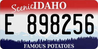ID license plate E898256