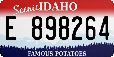 ID license plate E898264