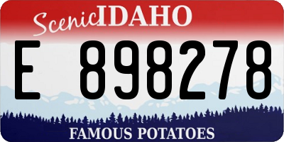 ID license plate E898278