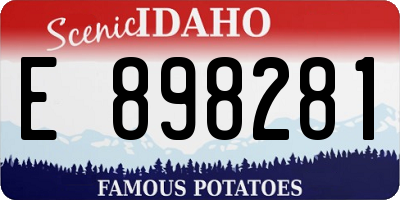 ID license plate E898281