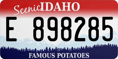 ID license plate E898285