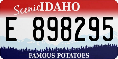 ID license plate E898295