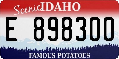 ID license plate E898300