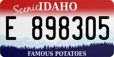 ID license plate E898305