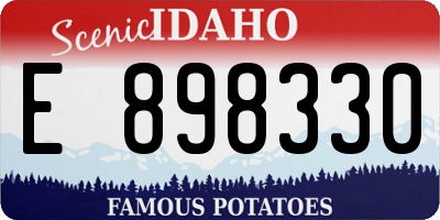 ID license plate E898330