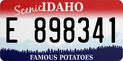 ID license plate E898341