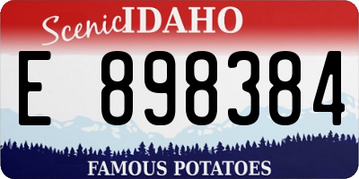 ID license plate E898384