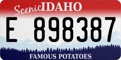 ID license plate E898387