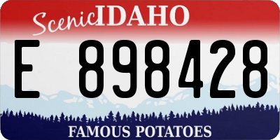 ID license plate E898428