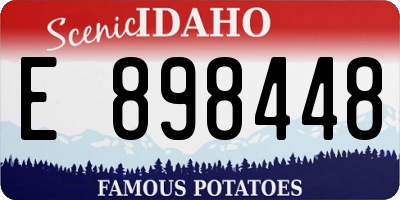 ID license plate E898448