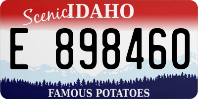 ID license plate E898460