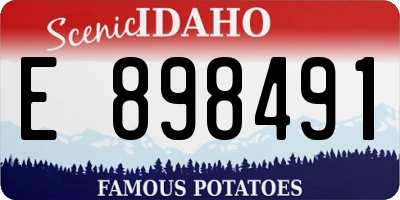 ID license plate E898491