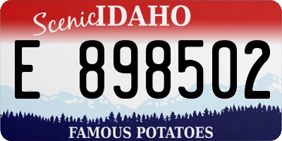 ID license plate E898502
