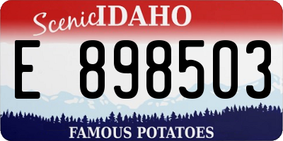 ID license plate E898503