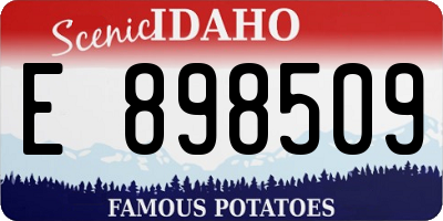 ID license plate E898509