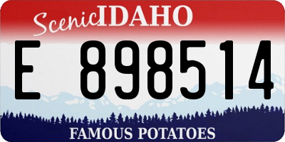 ID license plate E898514