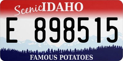 ID license plate E898515