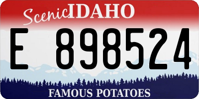 ID license plate E898524