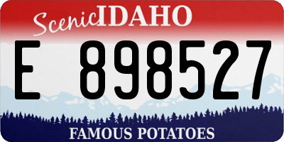 ID license plate E898527