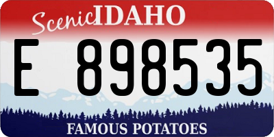 ID license plate E898535
