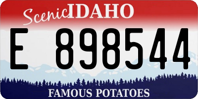 ID license plate E898544