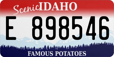 ID license plate E898546