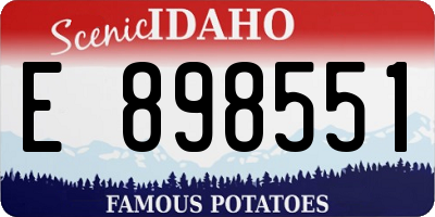 ID license plate E898551
