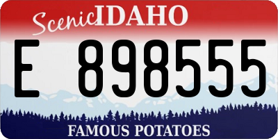 ID license plate E898555