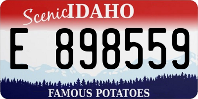 ID license plate E898559