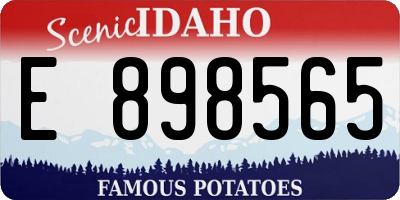 ID license plate E898565